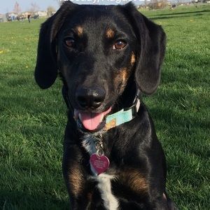 Meet your Posher, Ashley